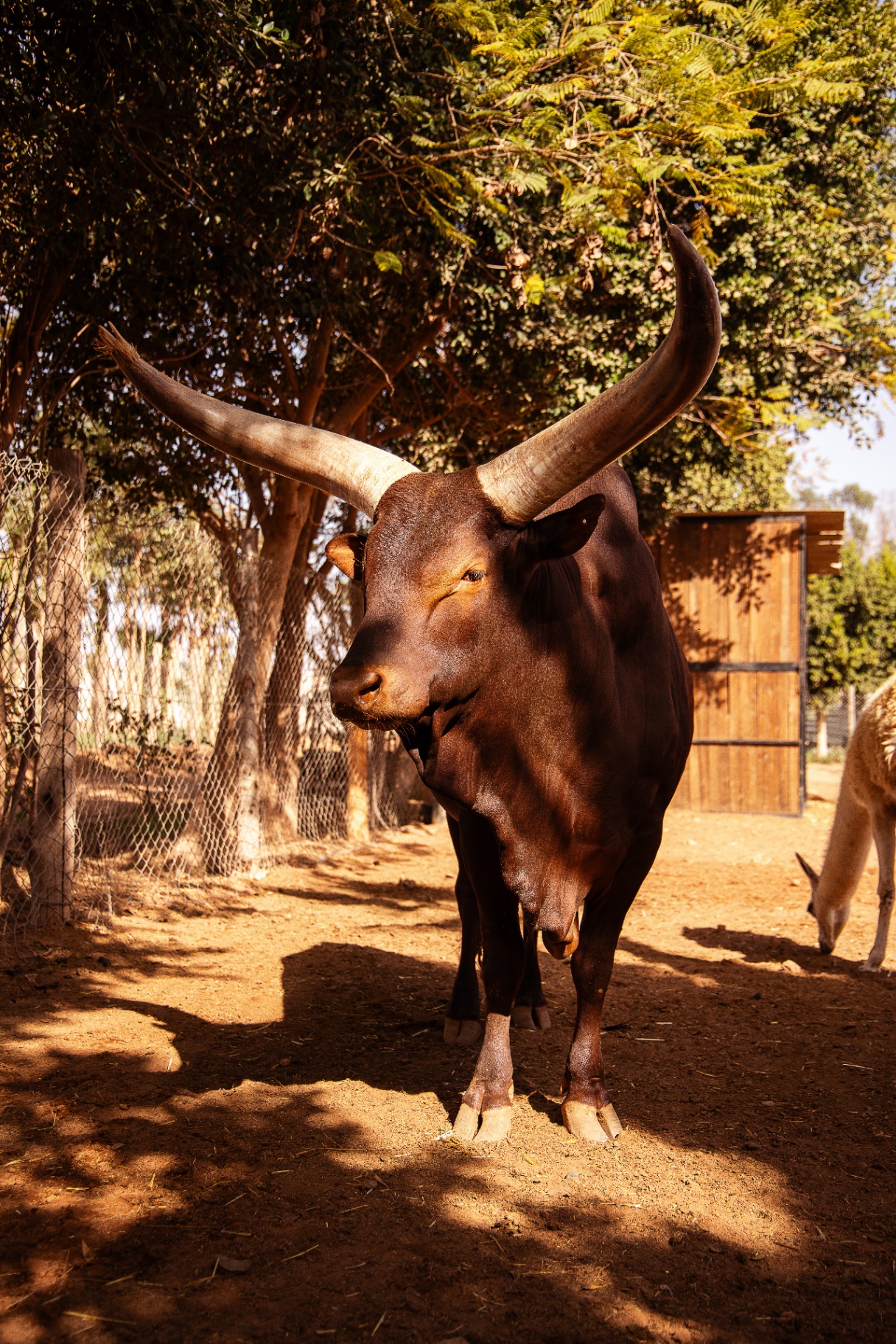 Faune du Domaine Limoune